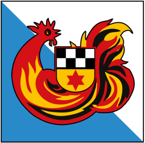 Logo Feuerwehr Volketswil