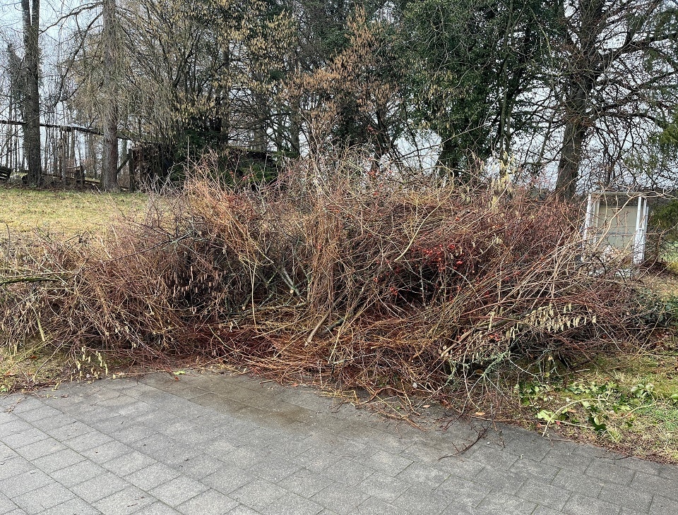 Bereitgestelltes Häckselgut in Volketswil